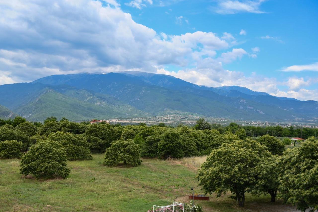 Hotel Geromichalos Paralía Skotínis Εξωτερικό φωτογραφία